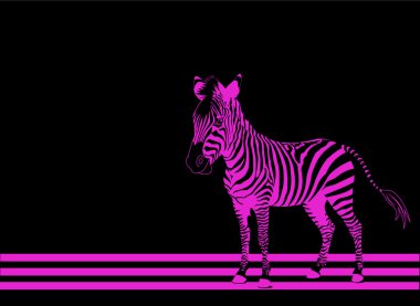 Zebra pink clipart