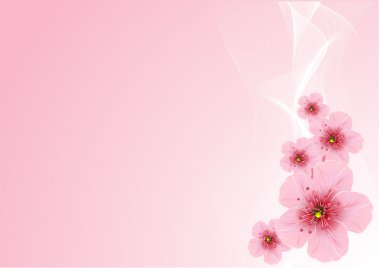 Cherry blossom clipart