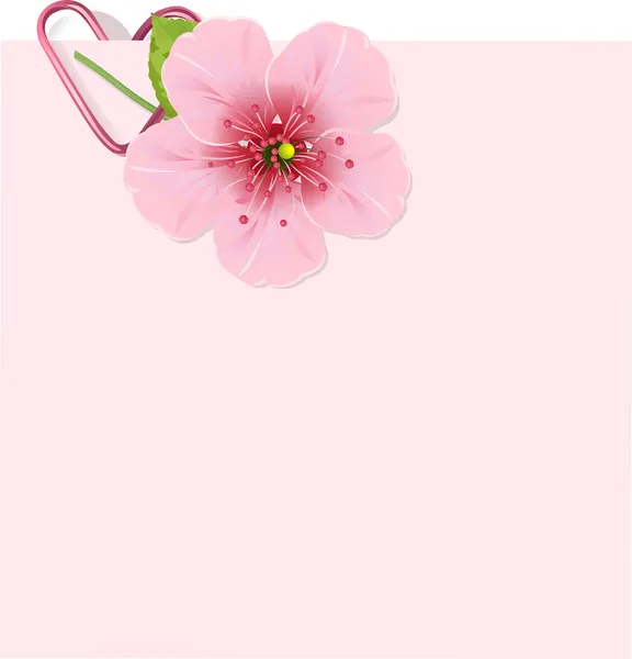 桜の花の手紙 — ストックベクタ