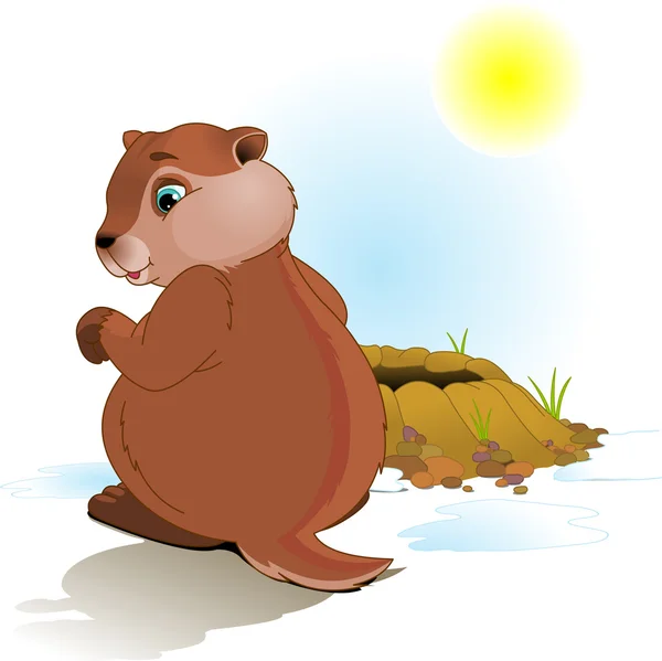 Journée de la marmotte — Image vectorielle