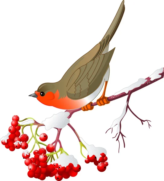 Aves de invierno — Archivo Imágenes Vectoriales