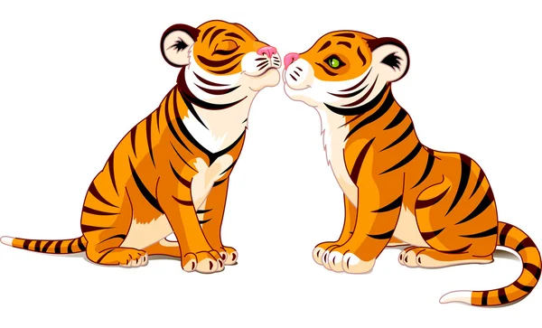 Two Tigers in Love — Stock Vector