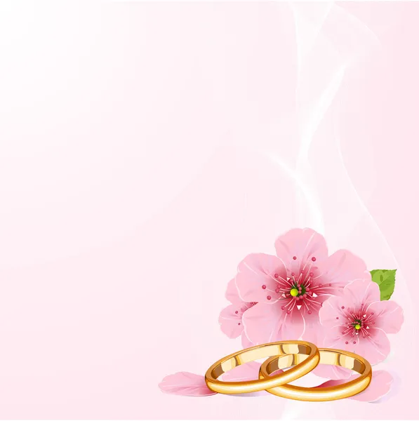 Anelli nuziali e fiori di ciliegio — Vettoriale Stock