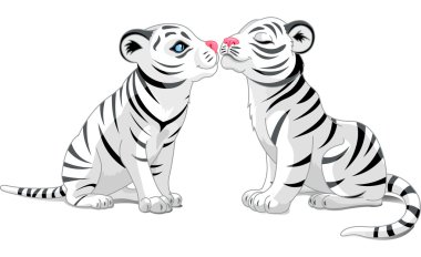 Two White Tigers in Love clipart