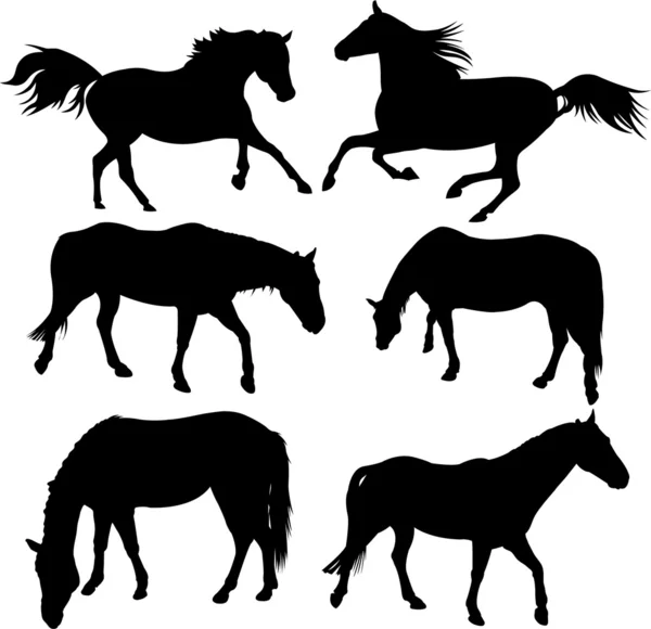 Pferdesilhouetten-Kollektion — Stockvektor