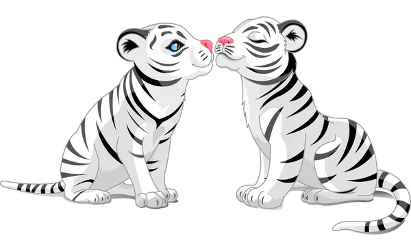 Dwa białe Tygrysy w miłości — Wektor stockowy