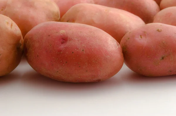 De aardappelen van de roze kleur. — Stockfoto