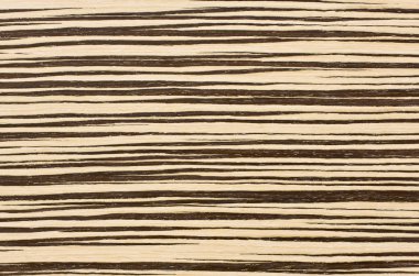 Zebra wood texture background clipart