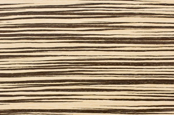 Zebra Madeira Textura fundo — Fotografia de Stock