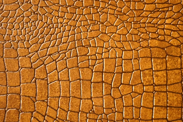 Pele de cobra marrom ou textura de crocodilo — Fotografia de Stock