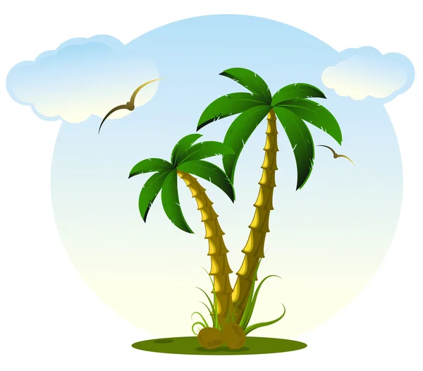 Palm і Коко — стоковий вектор