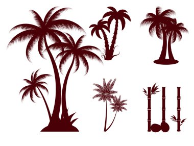 Palms clipart