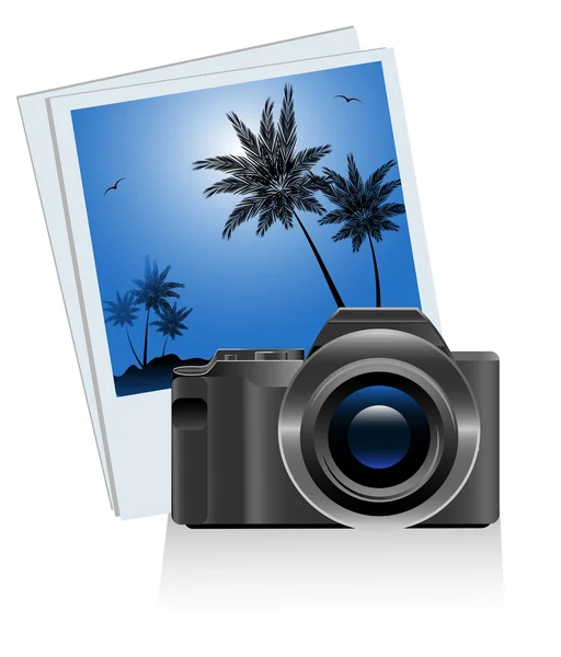 Fotocamera Palm — Vettoriale Stock