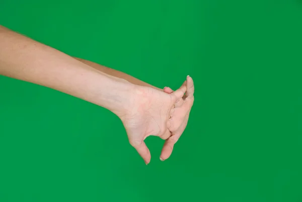 Eller — Stok fotoğraf