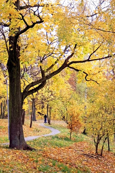 Şehir parkında sonbahar — Stok fotoğraf