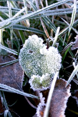 Ice crystals close up clipart