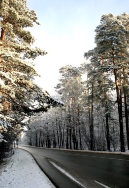 Road in winter forest clipart