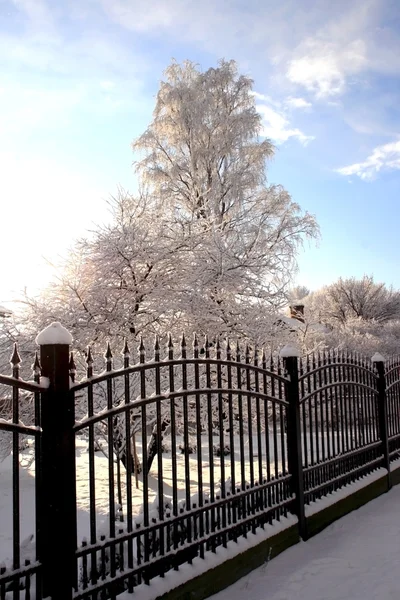 Zachód słońca w ogrodzie śnieg — Zdjęcie stockowe