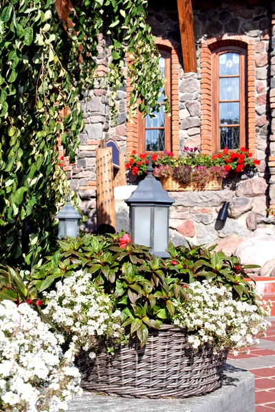 stock image Windows with flowers