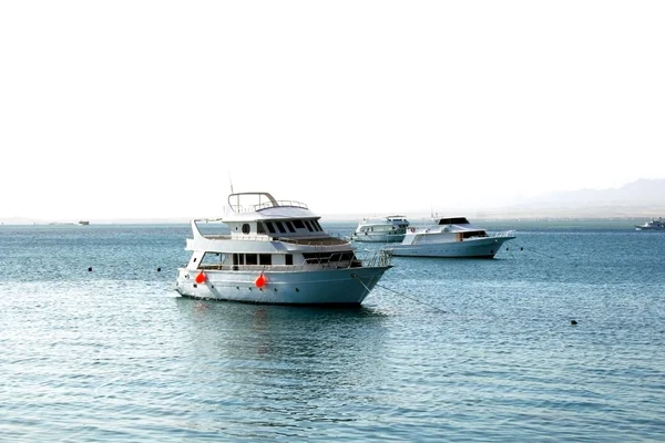 Sumuinen aamu Hurghadan satamassa — kuvapankkivalokuva