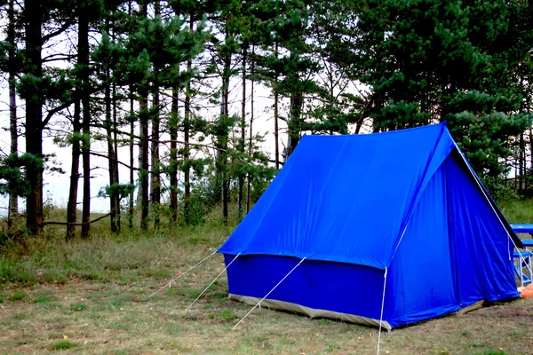 Blå tält — Stockfoto