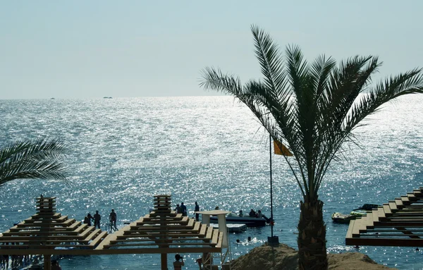 Παραλία στην Ερυθρά θάλασσα — Φωτογραφία Αρχείου