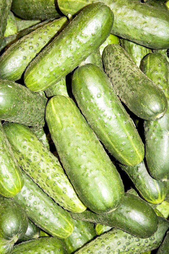 https://static3.depositphotos.com/1000800/126/i/950/depositphotos_1263333-stock-photo-fresh-organic-cucumbers.jpg