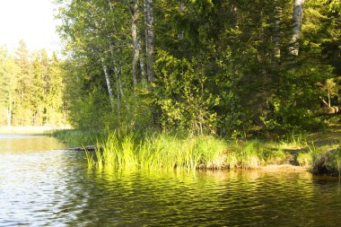 Lake and nature clipart