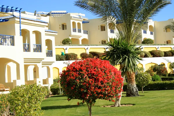 Resort in Sharm-el-Sheikh — Stockfoto