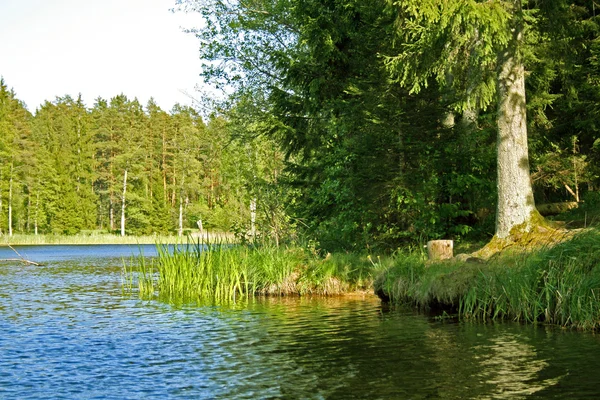 Blå sjön — Stockfoto