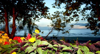 View from a window on sunset clipart