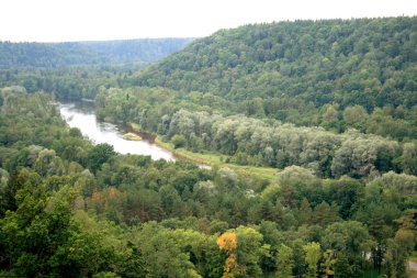 Forests and river Gauja clipart