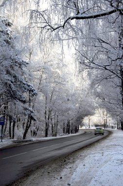 Road in snow forest clipart