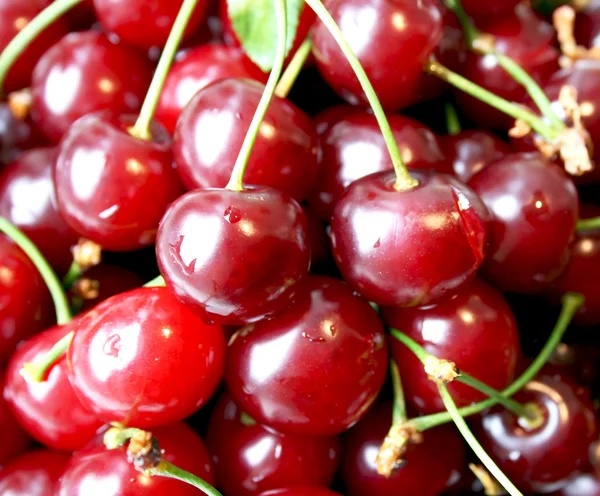 stock image Juicy ripe cherry