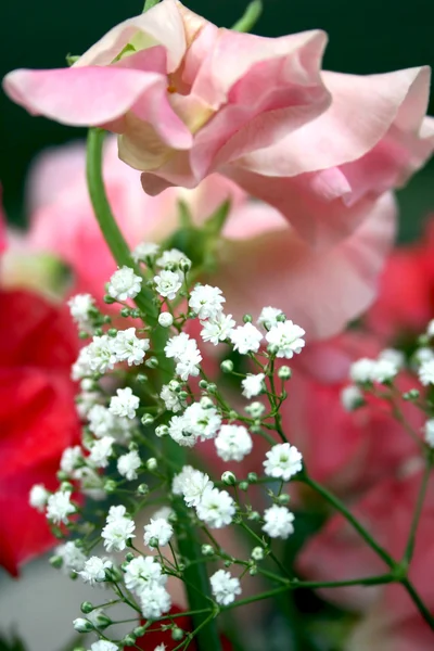 Bukiet róża motyka — Zdjęcie stockowe