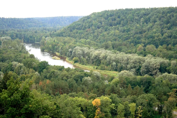 Bosques y río Gauja — Foto de Stock