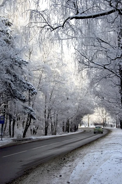 Estrada na floresta de neve — Fotografia de Stock