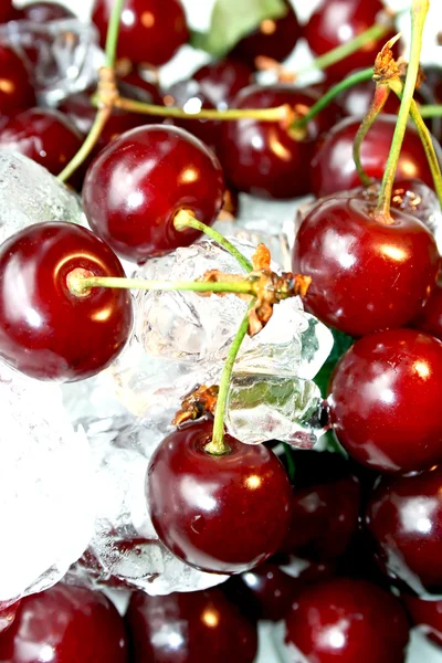 Fresh juicy cherry in ice — Stock Photo, Image
