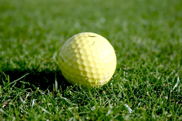 Golfpallo viheriöllä — kuvapankkivalokuva