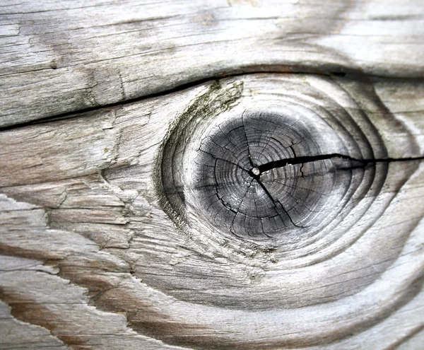 Detalhe de madeira de grão velho — Fotografia de Stock