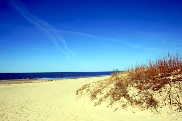 在拉脱维亚波罗的海海岸线 — 图库照片