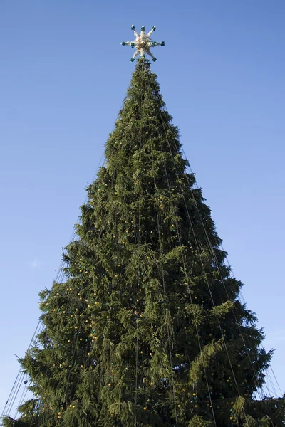 Новогодняя елка — стоковое фото
