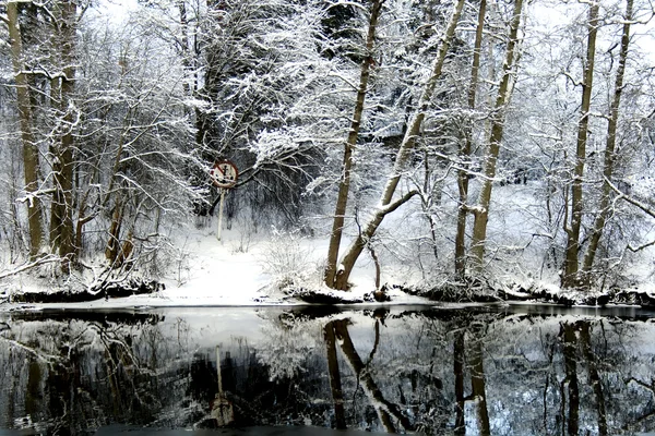 Bela vista florestas nevadas — Fotografia de Stock