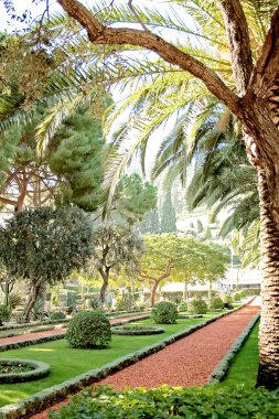 Magnificent Bahai garden in Acre clipart