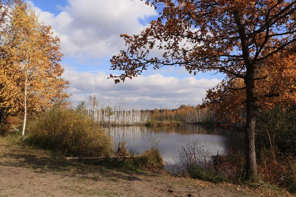 Dia de outono claro em uma lagoa — Fotografia de Stock
