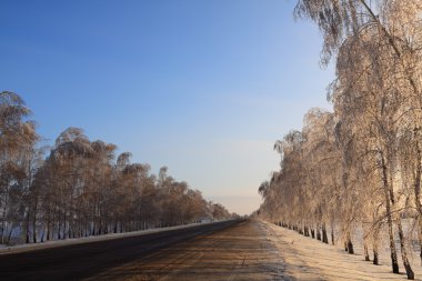 kış yolu