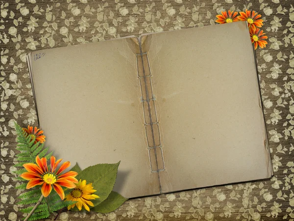 Herbarium of flowers and leaves on the f — Stock Photo, Image