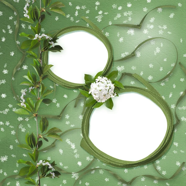 Twee kader op de groene abstracte rug — Stockfoto