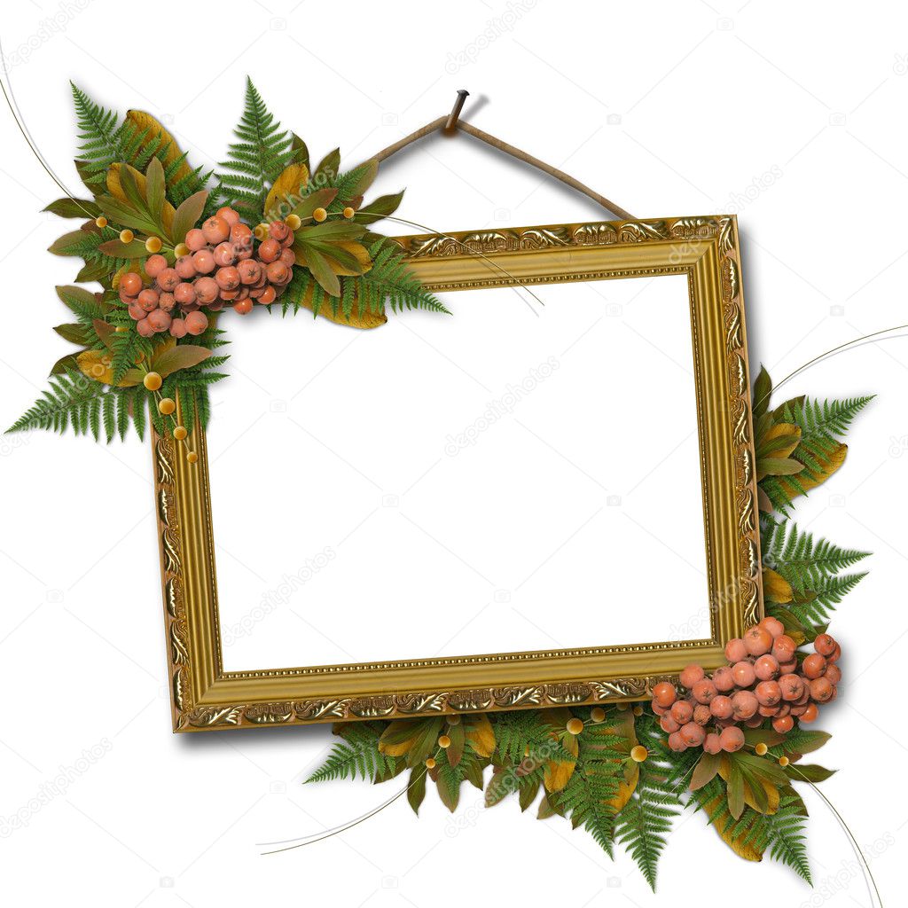 Picture gold frame with a mountain ash a