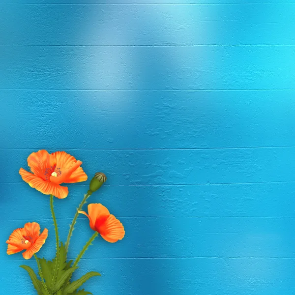 Vallmo på den blå abstrakt bakgrunden — Stockfoto